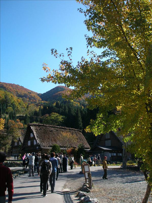 東瀛留學日記之又見合掌村高山古街(2008.11.5-6):