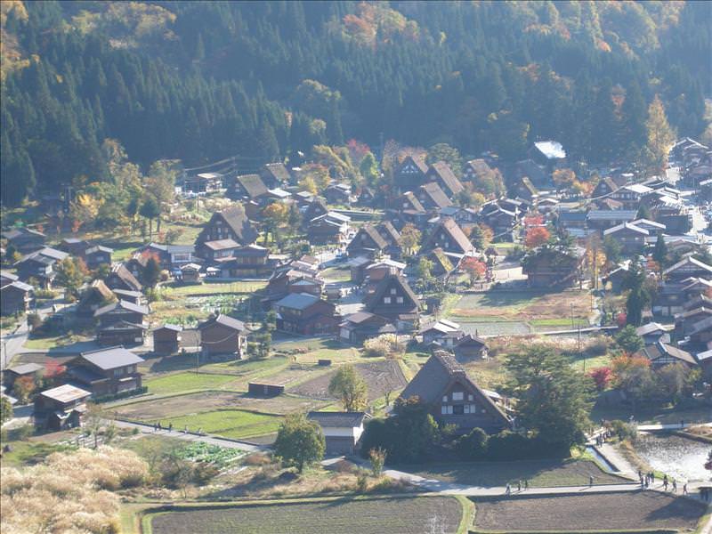 東瀛留學日記之又見合掌村高山古街(2008.11.5-6):上次是白雪藹藹，這次是秋紅滿地