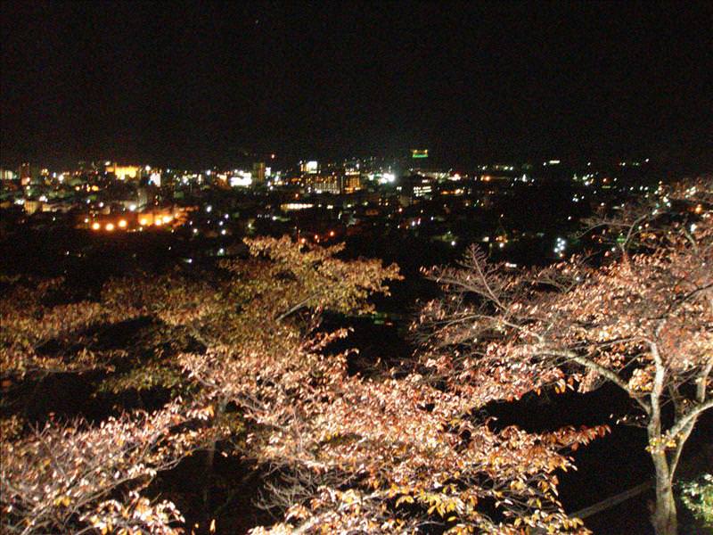 東瀛留學日記之又見合掌村高山古街(2008.11.5-6):從房間可以看到高山溫泉區的夜景