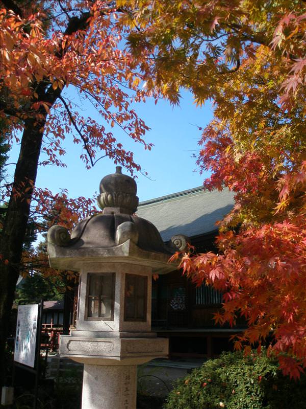 東瀛留學日記之又見合掌村高山古街(2008.11.5-6):很美
