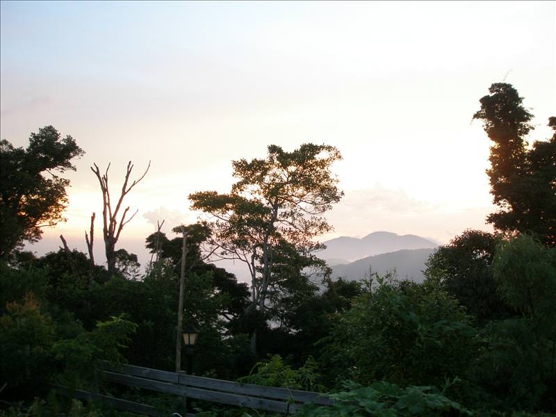 2008.9.9-10 清境農場:不同的感覺