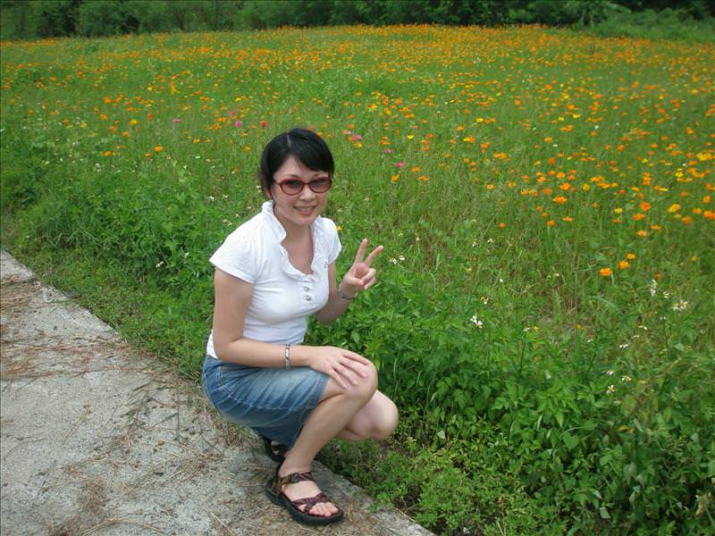 2008.8.13-14 又見墾丁天氣晴:丸子寫真（波斯菊篇）
