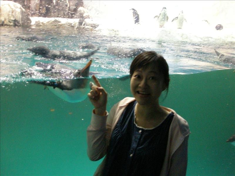 2008.8.13-14 又見墾丁天氣晴:孕婦寫真(企鵝館篇）