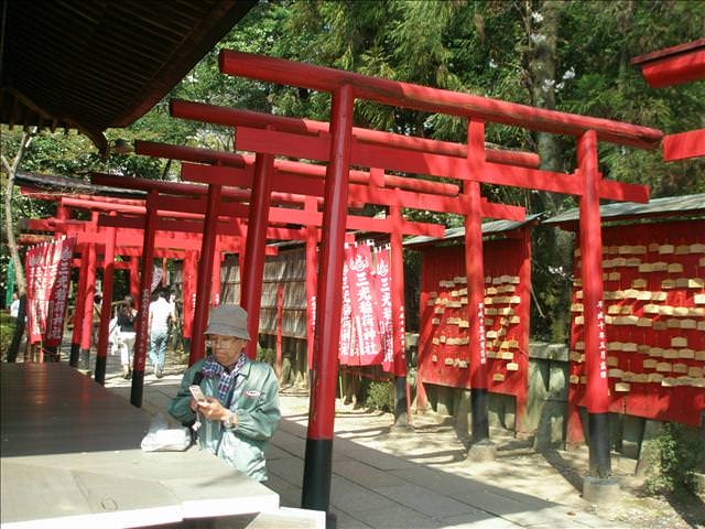 東瀛留學日記之犬山祭(2008.4.5):神社旁的鳥居