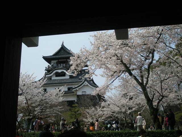 東瀛留學日記之犬山祭(2008.4.5):犬山城