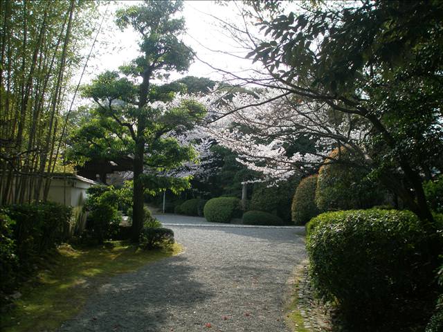東瀛留學日記之犬山祭(2008.4.5):附近的日式禪園