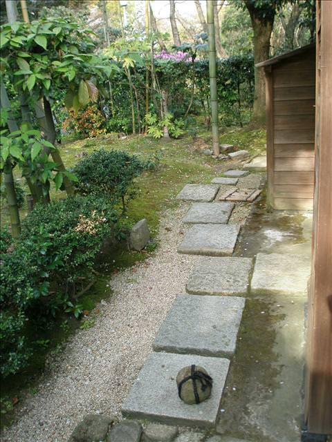 東瀛留學日記之犬山祭(2008.4.5):這張照片主要是照庭園走道上的一棵石頭