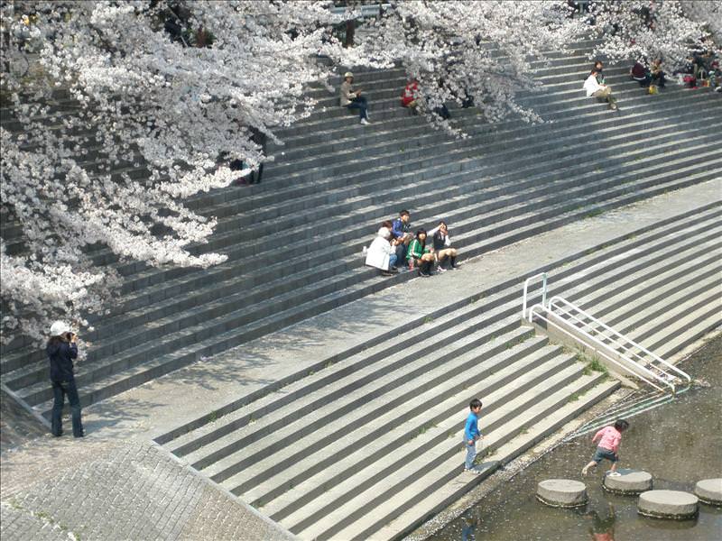 東瀛留學日記之賞櫻篇(2008.4.3):讓人可以在河邊賞花、烤肉、野餐