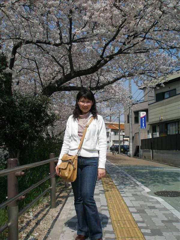 東瀛留學日記之賞櫻篇(2008.4.3):再來一張