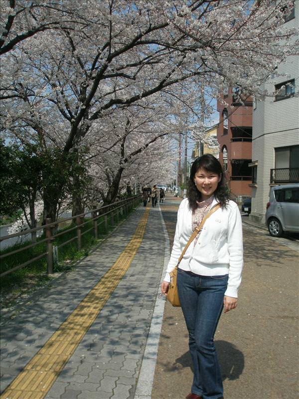 東瀛留學日記之賞櫻篇(2008.4.3):拍個不停