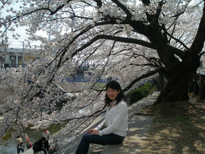 東瀛留學日記之賞櫻篇(2008.4.3):1475739523.jpg