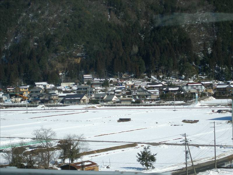 東瀛留學日記之童話世界篇(2008.1):哇...看到雪了