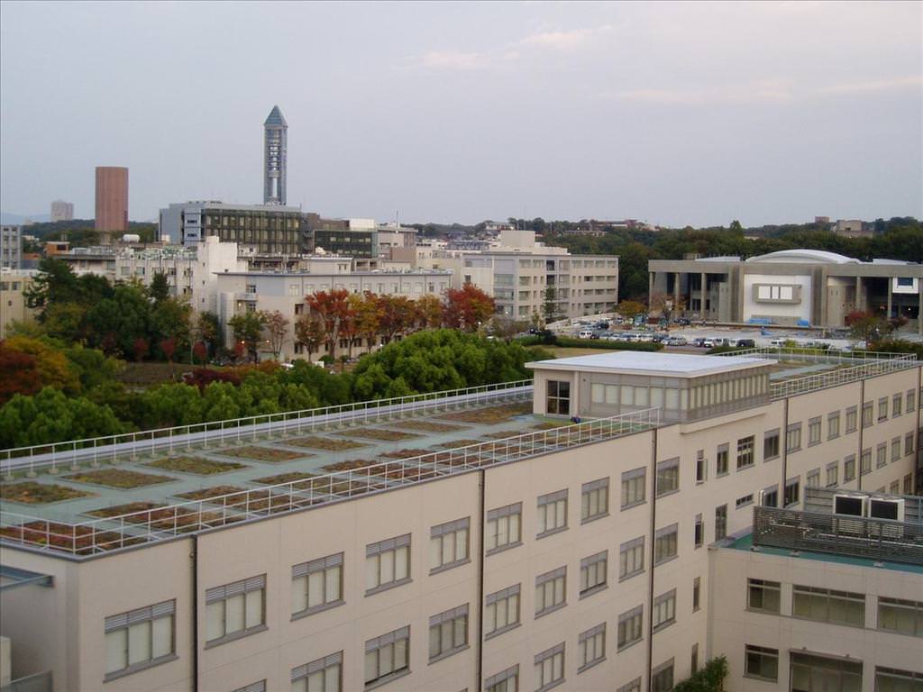 東瀛留學日記之校園篇:從上俯瞰