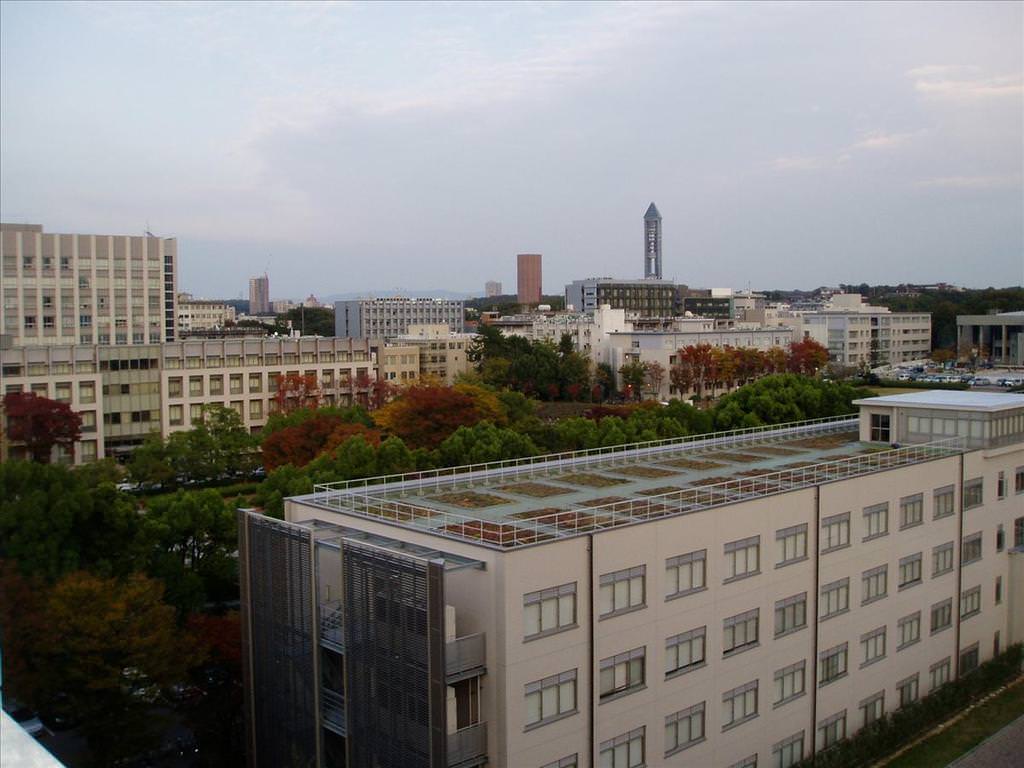 東瀛留學日記之校園篇:遠方有個高塔