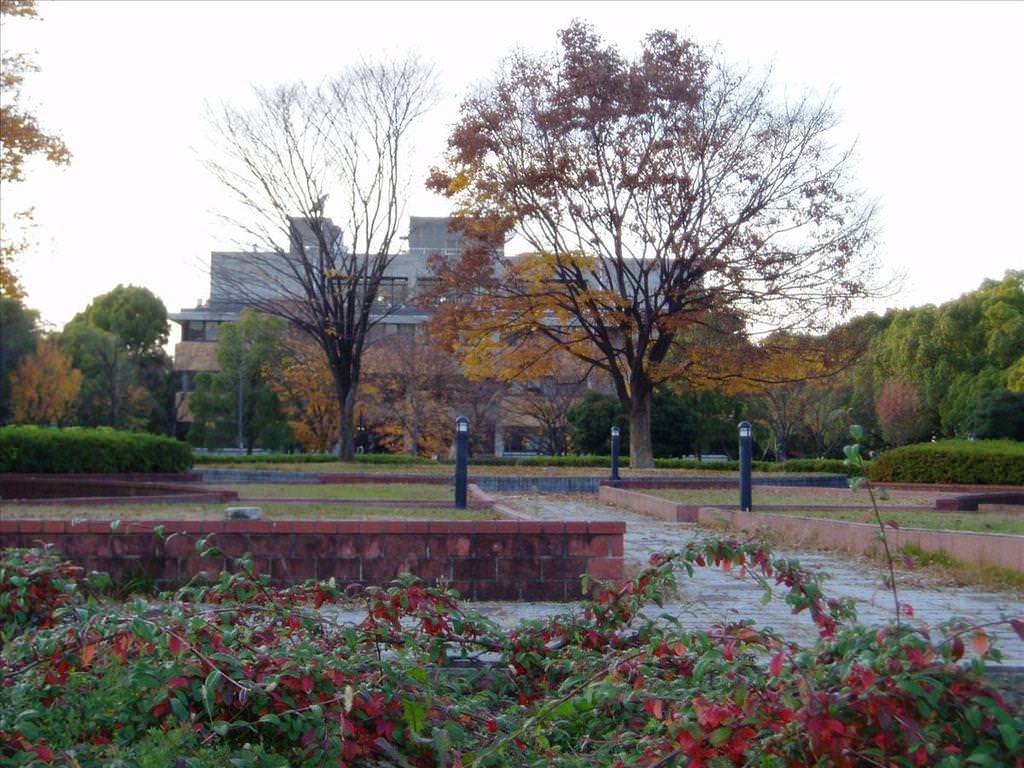 東瀛留學日記之校園篇:前正方是圖書館