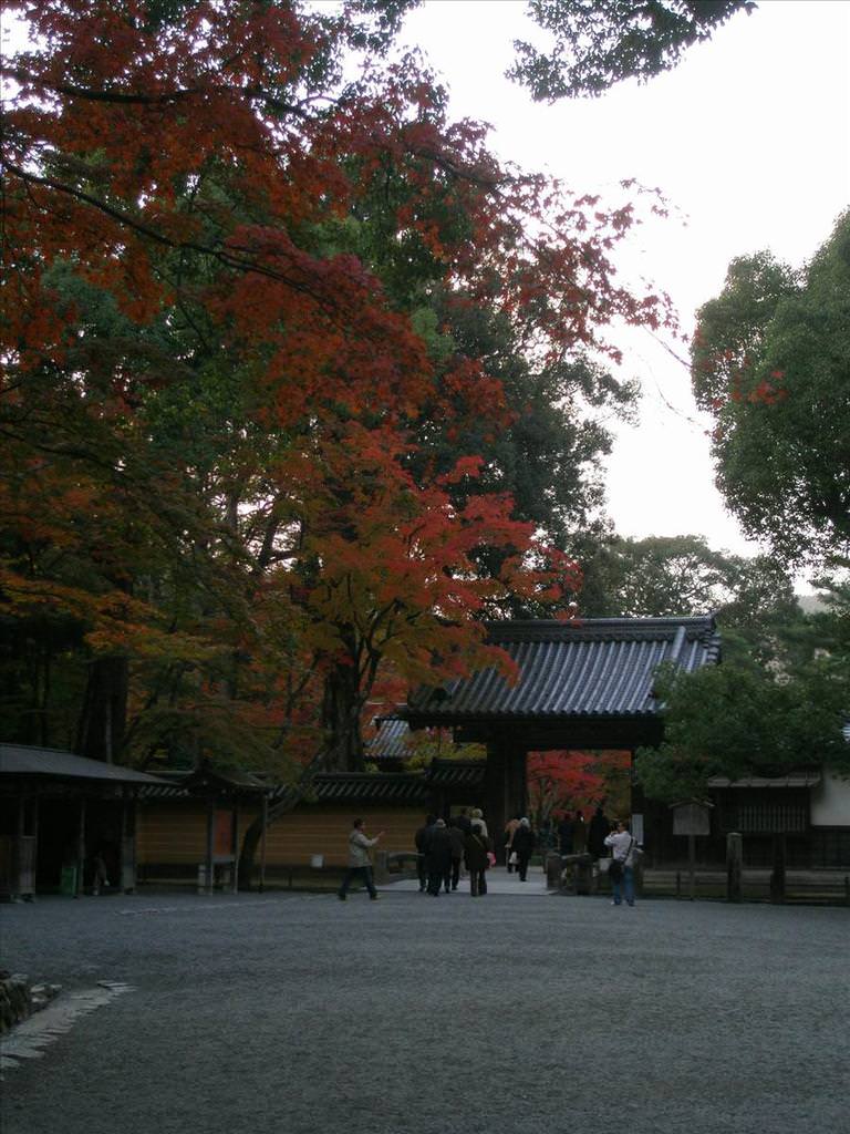 東瀛留學日記之吃喝玩樂篇(2007.11):紅葉的京都是不是很漂亮？
