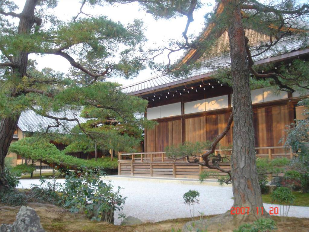 東瀛留學日記之吃喝玩樂篇(2007.11):古松、禪意
