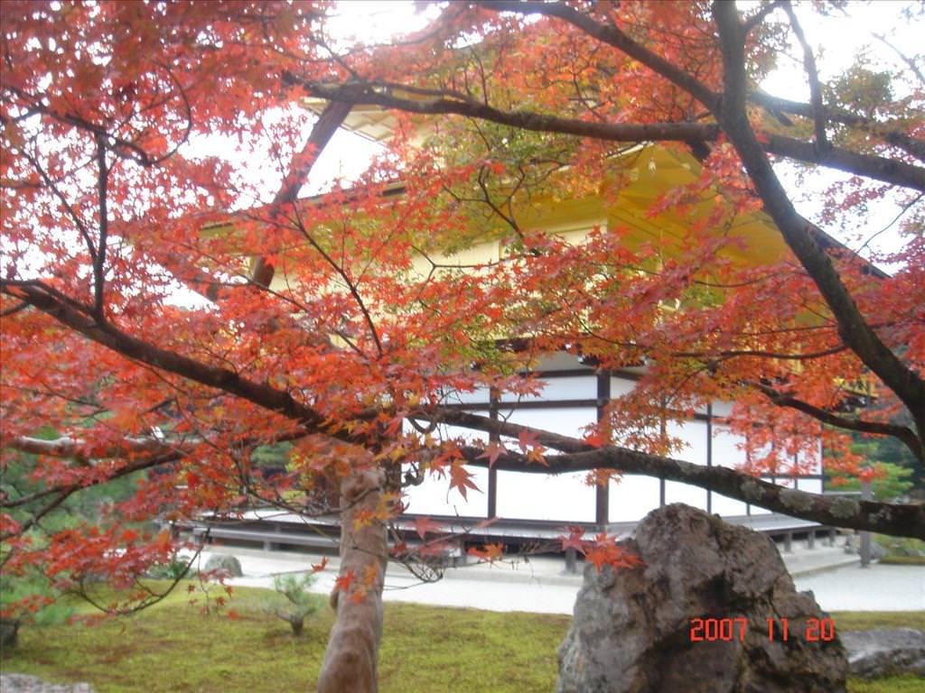 東瀛留學日記之吃喝玩樂篇(2007.11):外加紅葉