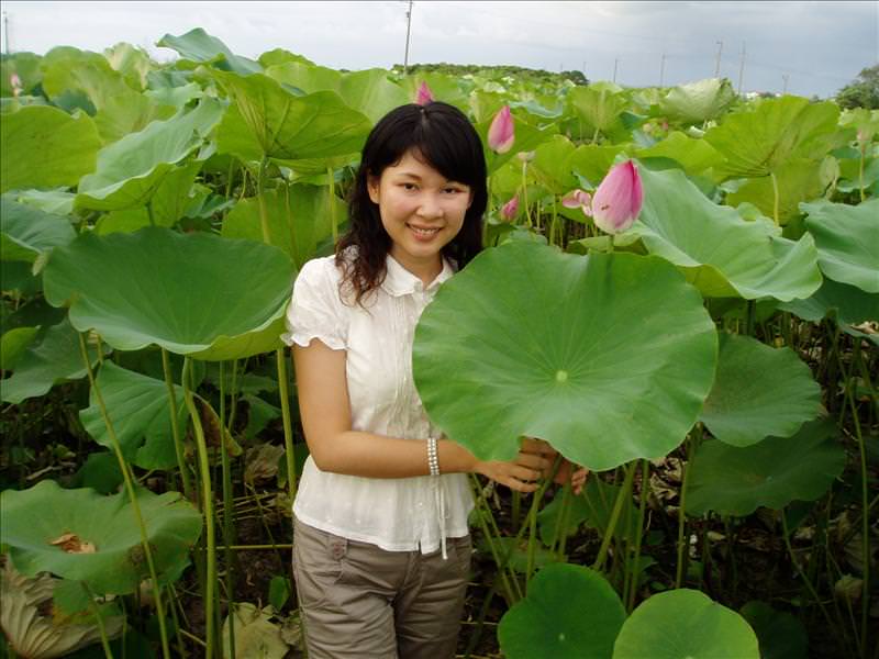 丸子賞蓮記:蓮花美人圖（有人反胃嗎？）