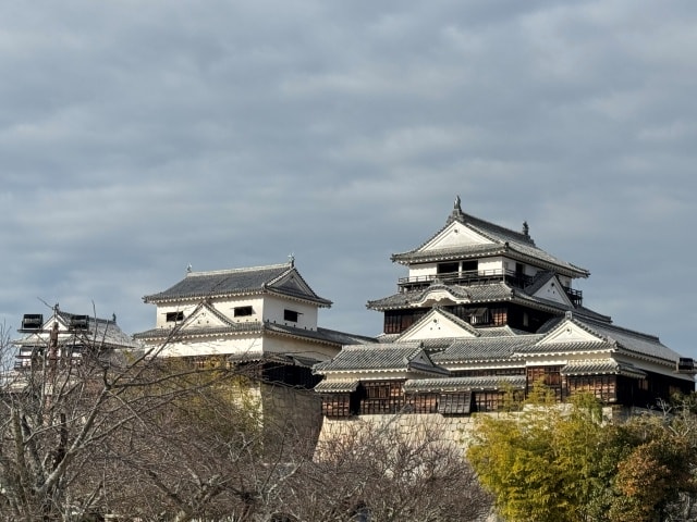 2025寒假日本四國貴婦行(2025.1.15-1.21)第1-4天 - 第50張圖 2025寒假日本四國貴婦行(2025.1.15-1.21)第1-4天