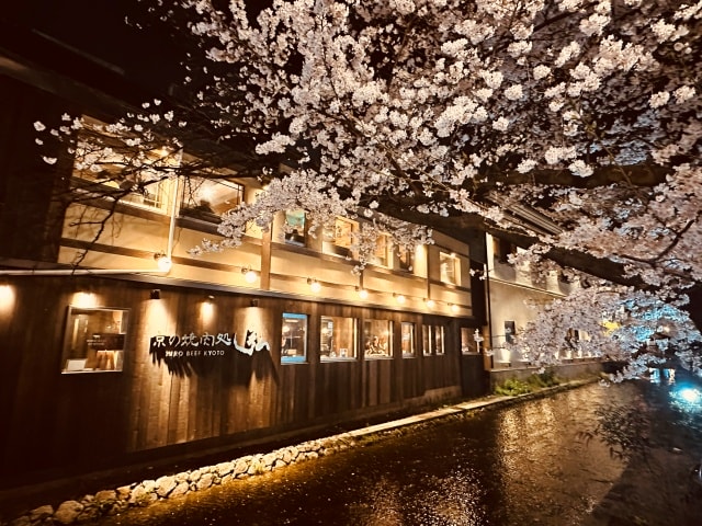 2025年春京都賞櫻行(2025.4.1-7)